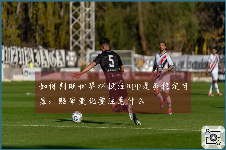 如何判断世界杯投注app是否稳定可靠，赔率变化要注意什么
