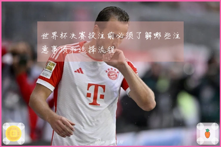 世界杯决赛投注前必须了解哪些注意事项和选择流程