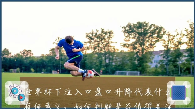 世界杯下注入口盘口升降代表什么有何意义，如何判断是否值得关注