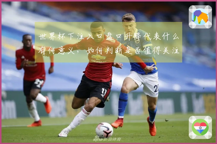 世界杯下注入口盘口升降代表什么有何意义，如何判断是否值得关注