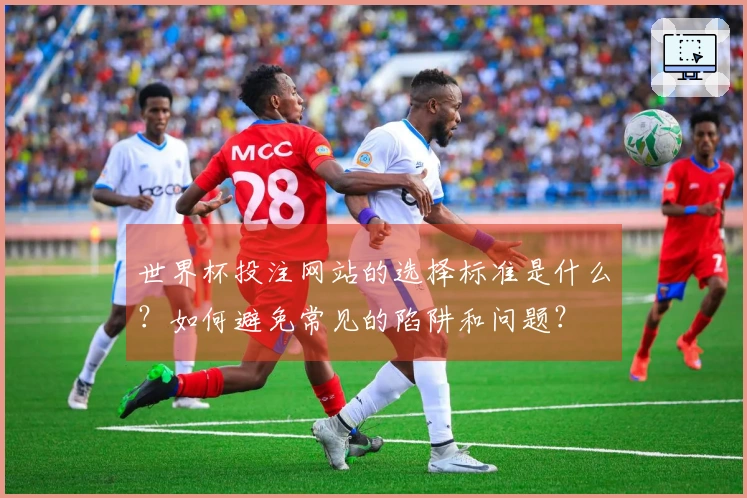 世界杯投注网站的选择标准是什么？如何避免常见的陷阱和问题？