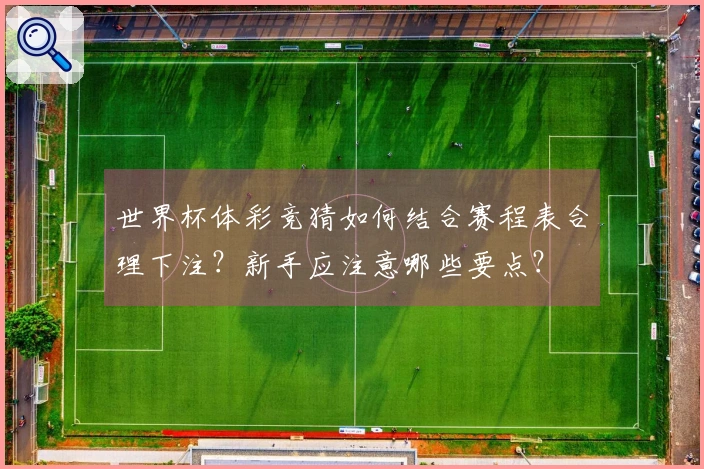 世界杯体彩竞猜如何结合赛程表合理下注？新手应注意哪些要点？