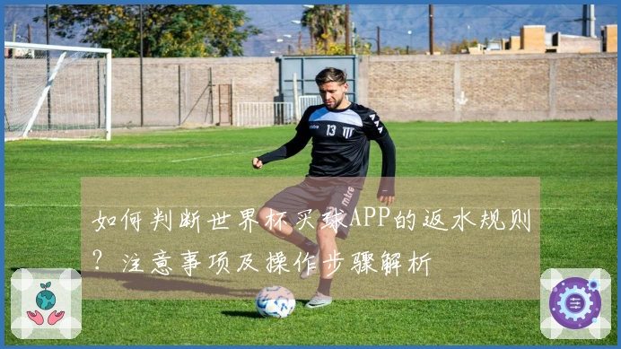 如何判断世界杯买球APP的返水规则？注意事项及操作步骤解析
