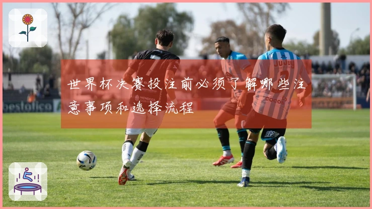 世界杯决赛投注前必须了解哪些注意事项和选择流程