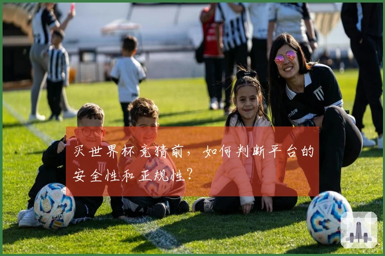 买世界杯竞猜前，如何判断平台的安全性和正规性？
