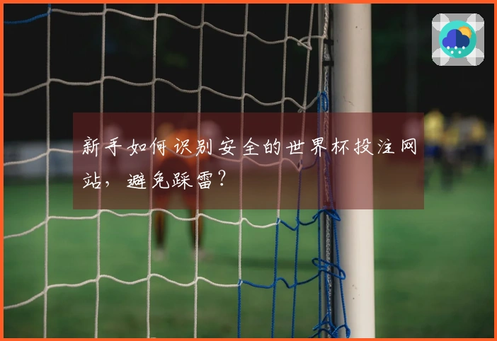新手如何识别安全的世界杯投注网站，避免踩雷？