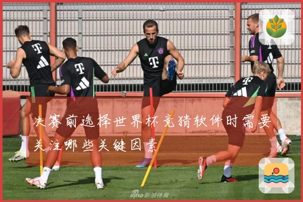 决赛前选择世界杯竞猜软件时需要关注哪些关键因素
