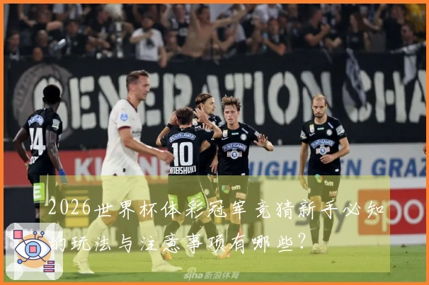 2026世界杯体彩冠军竞猜新手必知的玩法与注意事项有哪些？