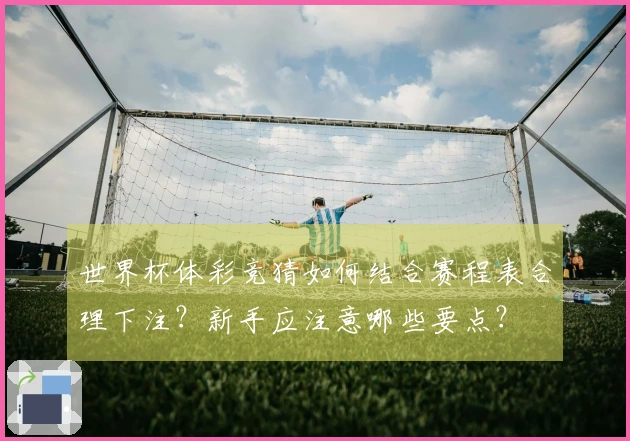 世界杯体彩竞猜如何结合赛程表合理下注？新手应注意哪些要点？